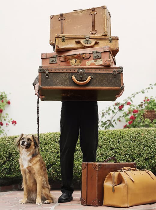 Cypress Inn Bellman, Luggage and Dog