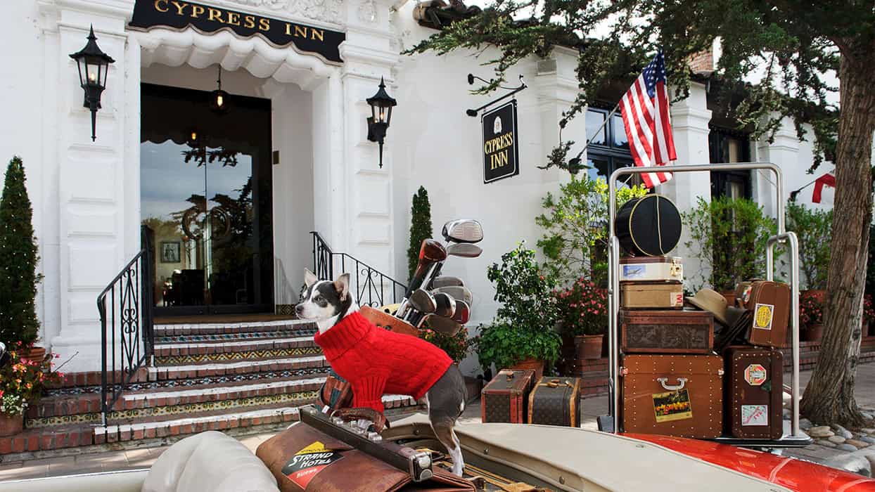 Sadie the Dog in A Red Sweater And Convertible in Front of The Cypress Inn