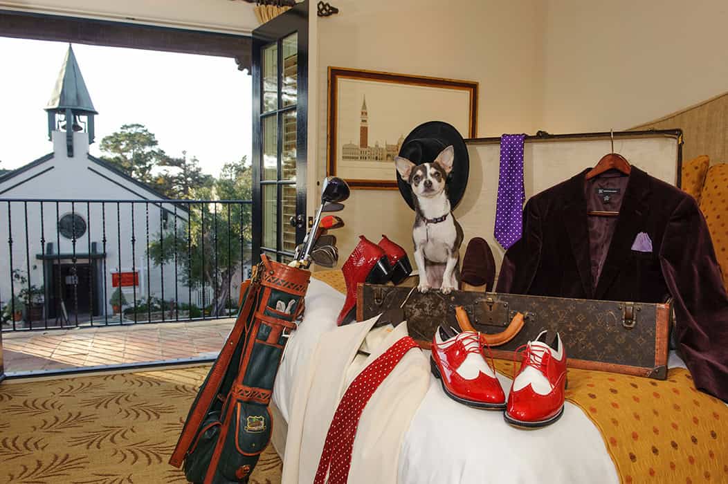 Sadie the Dog And Luggage at Cypress Inn