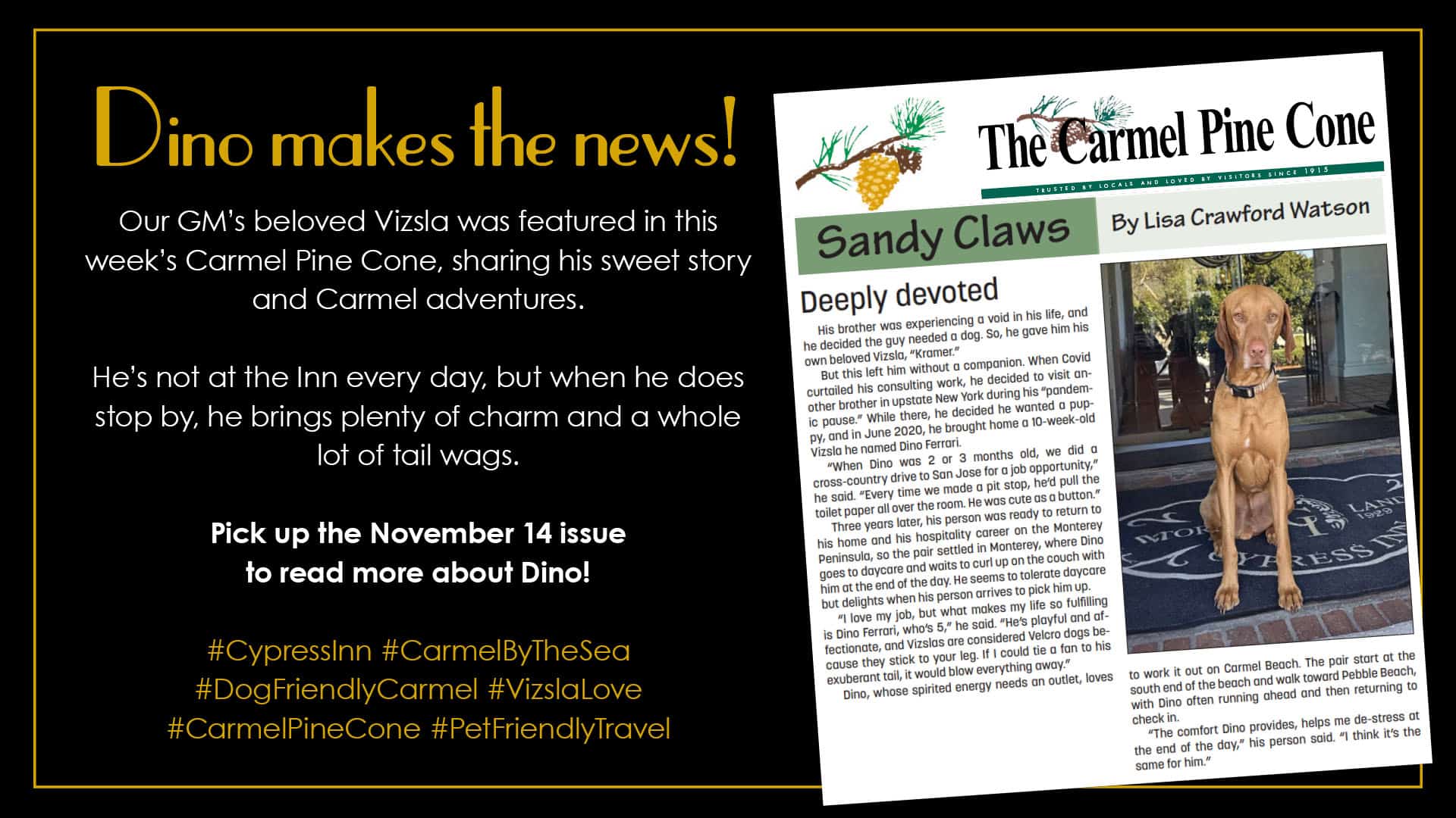 Dino the Dog Makes the News in The Carmel Pine Cone